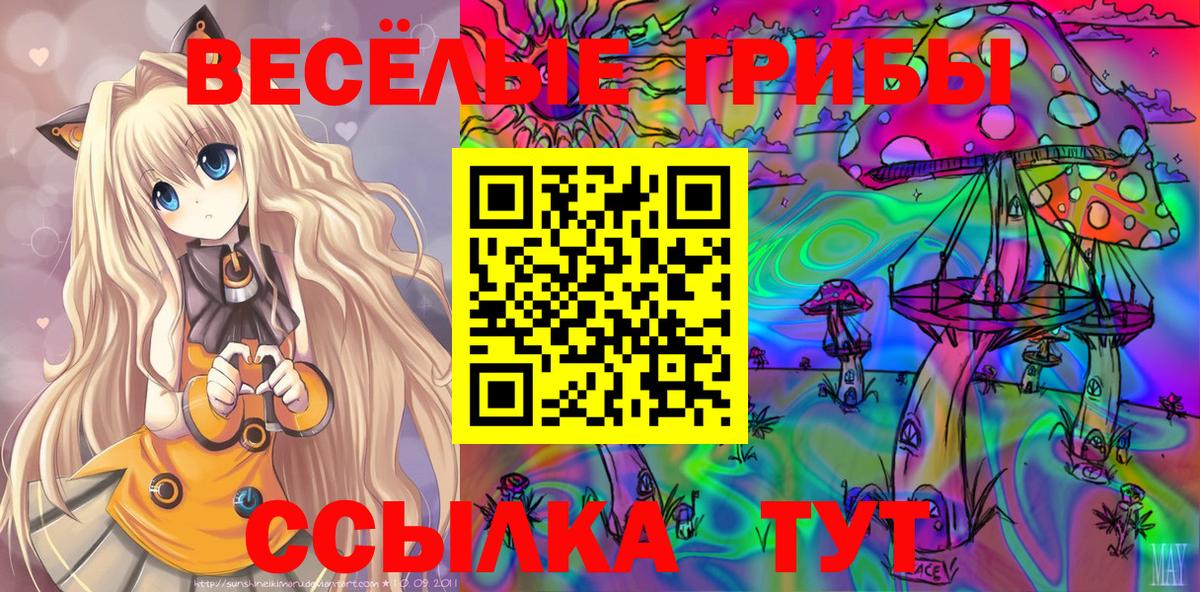 Свободный  Галлюциногенные грибы Psilocybine cubensis  Вход с VPN  где можно купить наркотик  Галлюциногенные грибы Psilocybe 